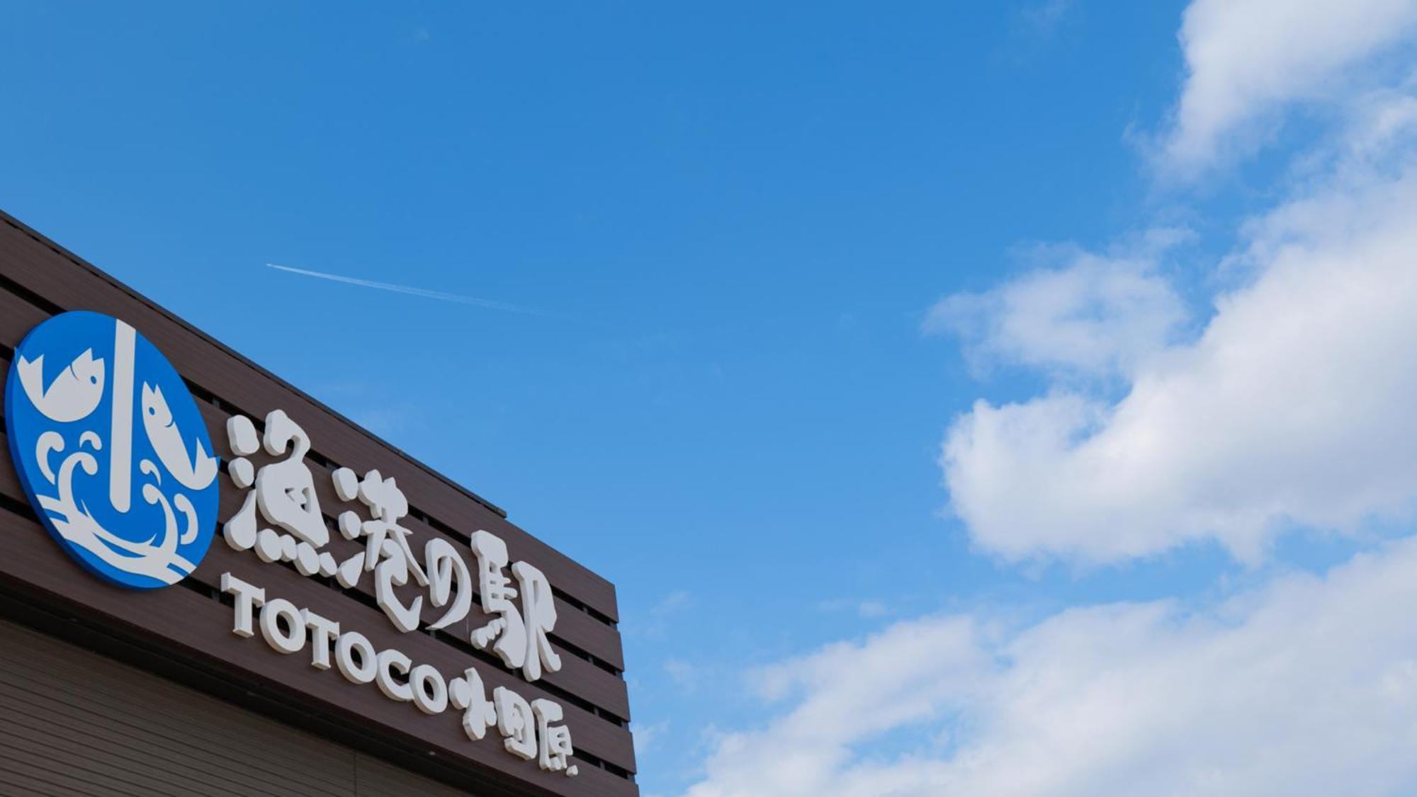 Toyoko Inn Odawara Eki Higashi Guchi Εξωτερικό φωτογραφία